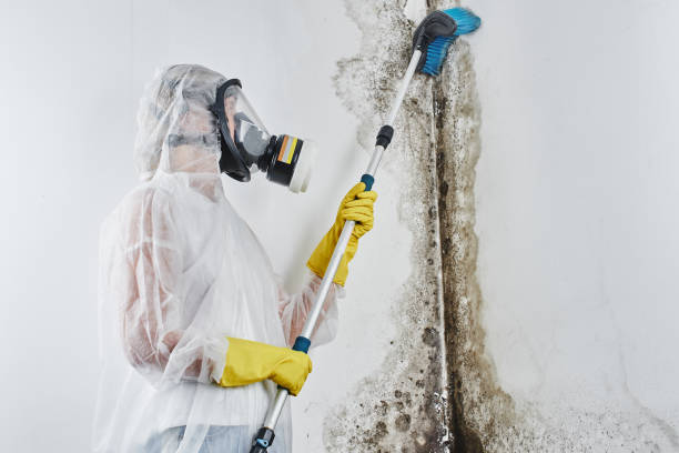 Best Water Damage Restoration  in Groveville, NJ