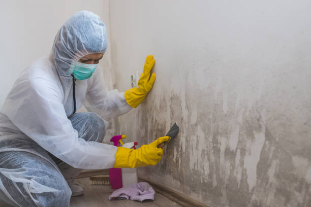 Best Emergency Mold Removal  in Groveville, NJ