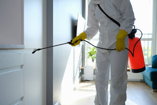 Best Mold Removal Process  in Groveville, NJ